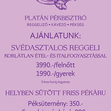 Leitner Ház Homestay szállás